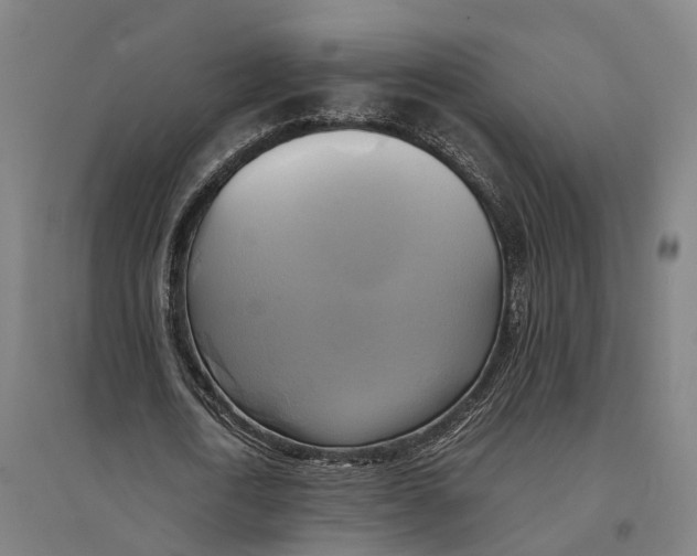 X0000095120722200712301759