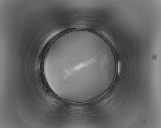 X0000095120723200712301759