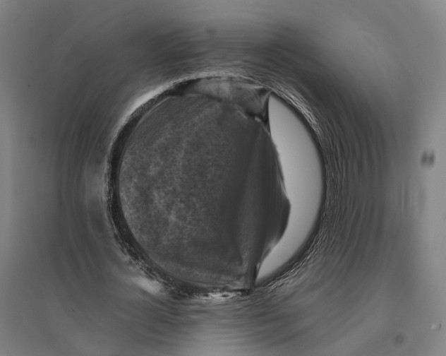 X0000095120724200712301800