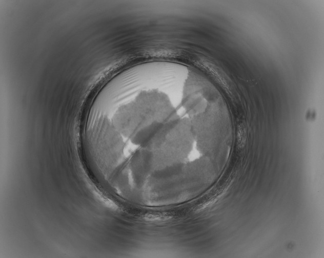 X0000095120725200712301800