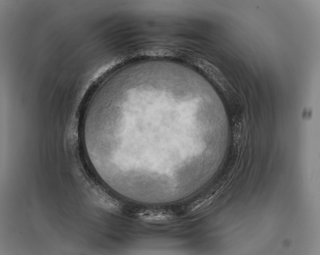 X0000095120727200712301800