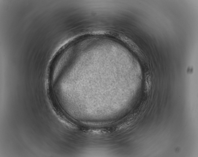 X0000095120728200712301800