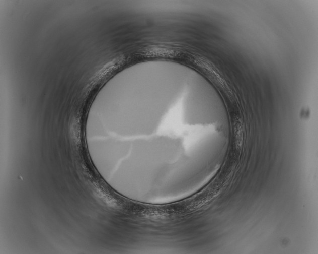 X0000095120729200712301800