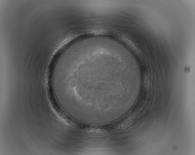 X0000095120730200712301800