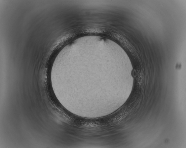 X0000095120731200712301800