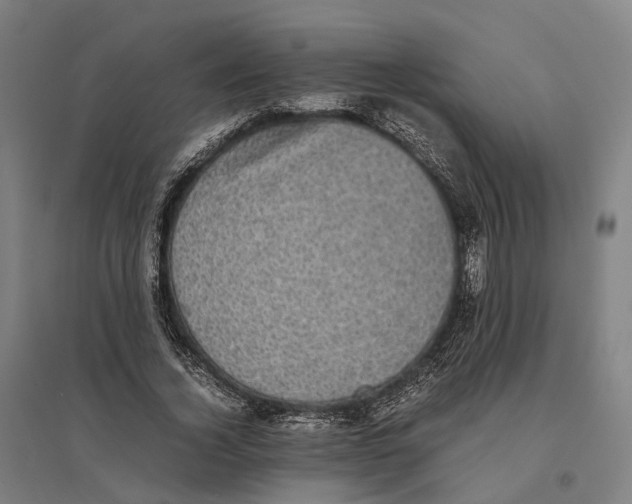 X0000095120732200712301800