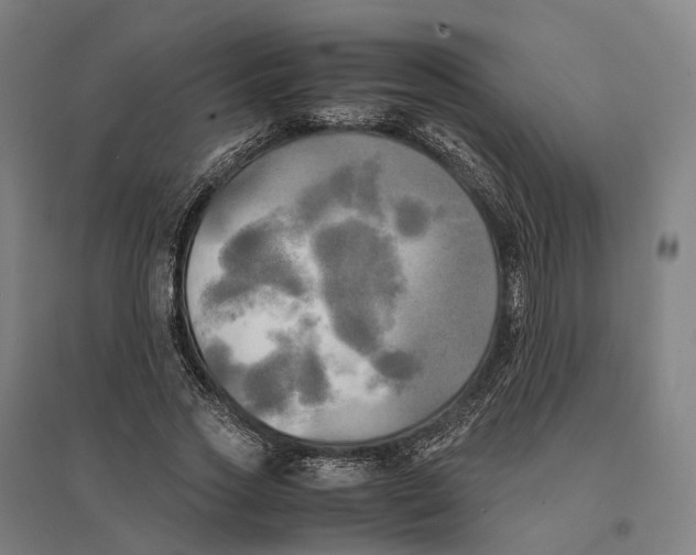 X0000095120733200712301800