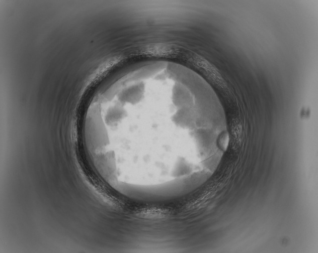 X0000095120734200712301800