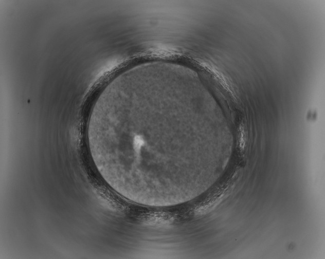 X0000095120736200712301800