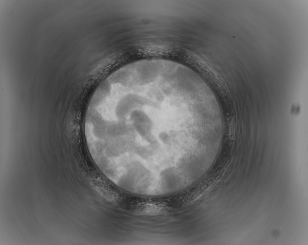 X0000095120737200712301800