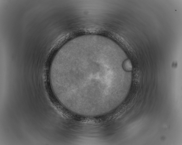 X0000095120738200712301800