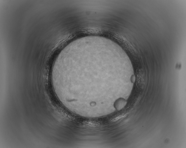 X0000095120739200712301800