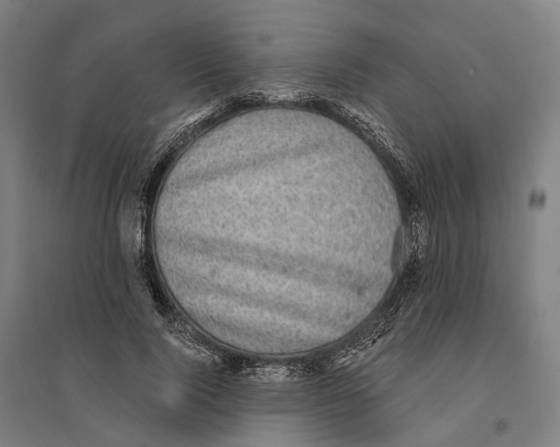 X0000095120740200712301800