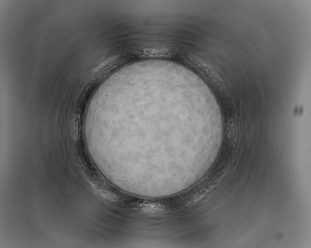 X0000095120741200712301800