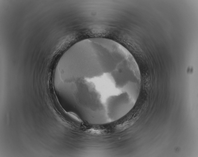 X0000095120742200712301800