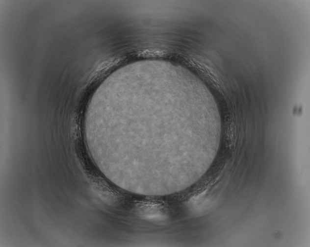 X0000095120743200712301800