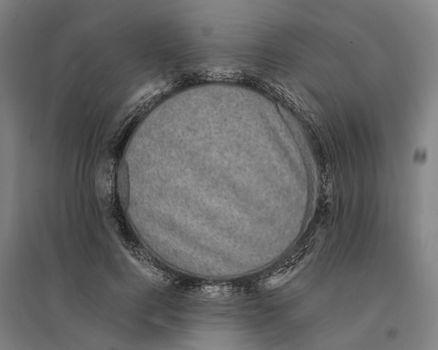 X0000095120744200712301800