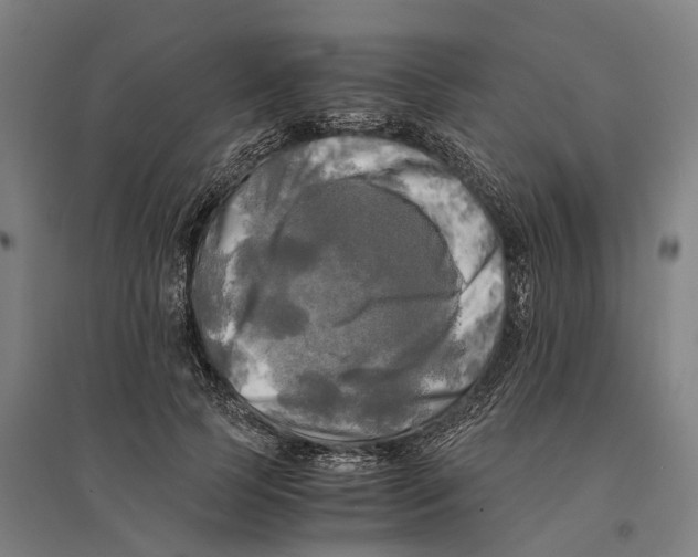 X0000095120745200712301800