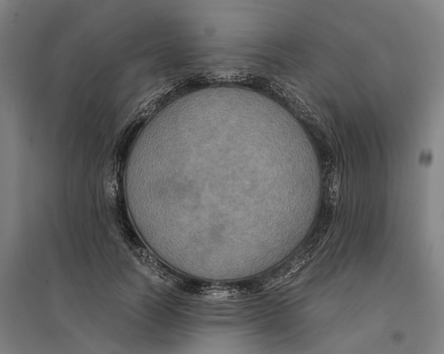 X0000095120746200712301800