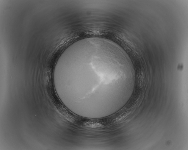 X0000095120747200712301800