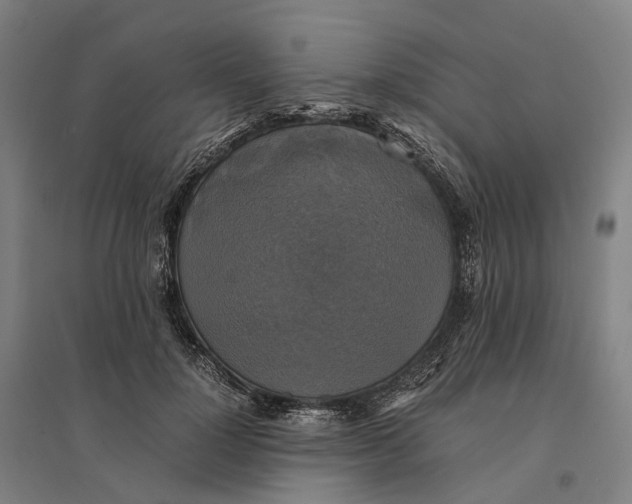 X0000095120748200712301800