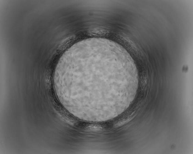 X0000095120749200712301800