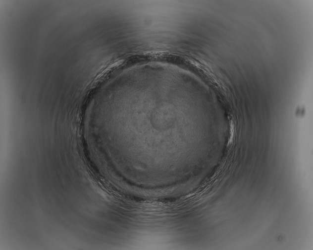 X0000095120750200712301800