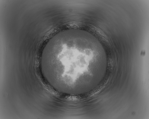 X0000095120751200712301800