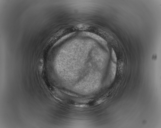 X0000095120752200712301800