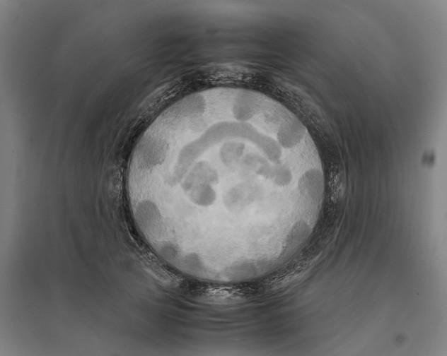 X0000095120753200712301800