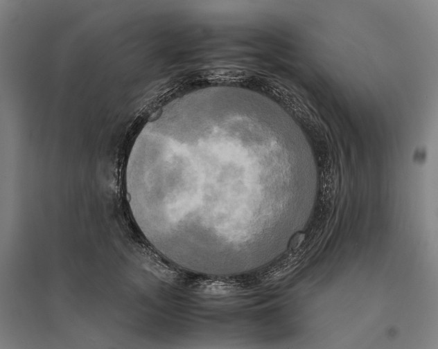 X0000095120755200712301800