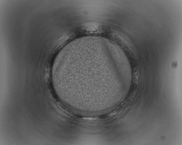 X0000095120756200712301800