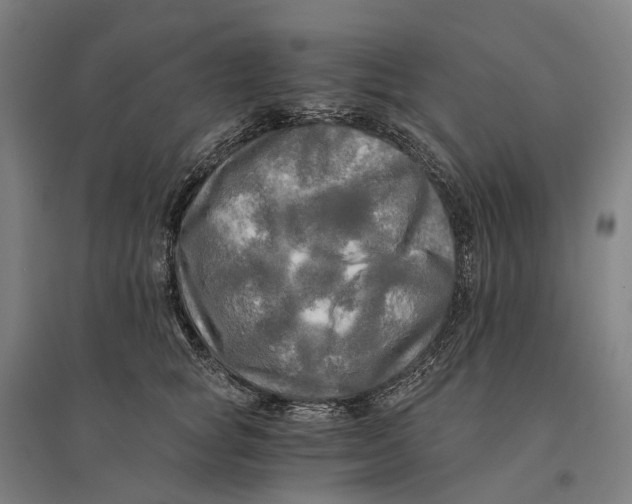 X0000095120757200712301800