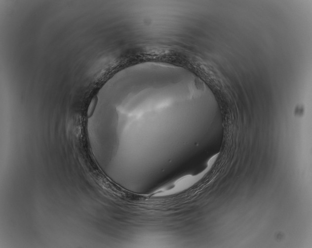 X0000095120758200712301800