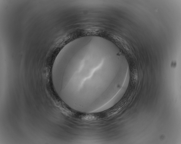 X0000095120759200712301800