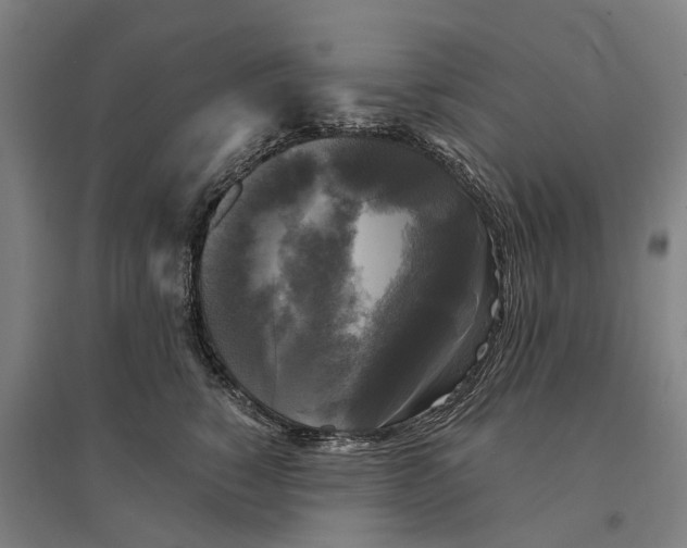 X0000095120760200712301800