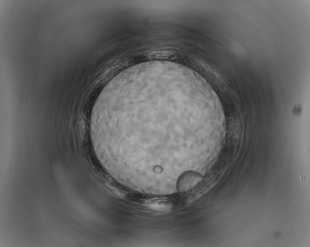 X0000095120761200712301800