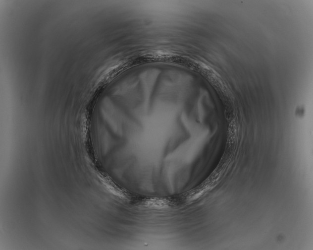 X0000095120762200712301800