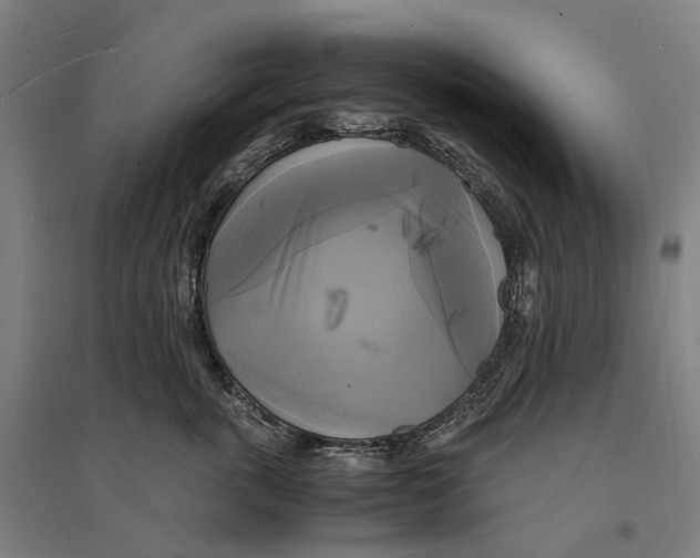 X0000095120763200712301800