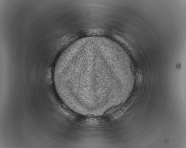 X0000095120764200712301800