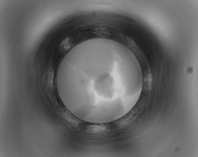 X0000095120765200712301800