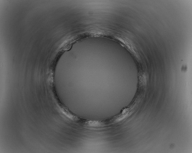 X0000095120766200712301800