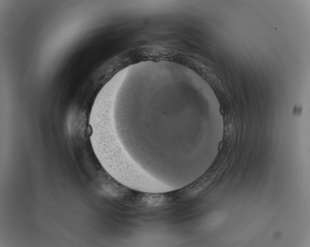 X0000095120767200712301800