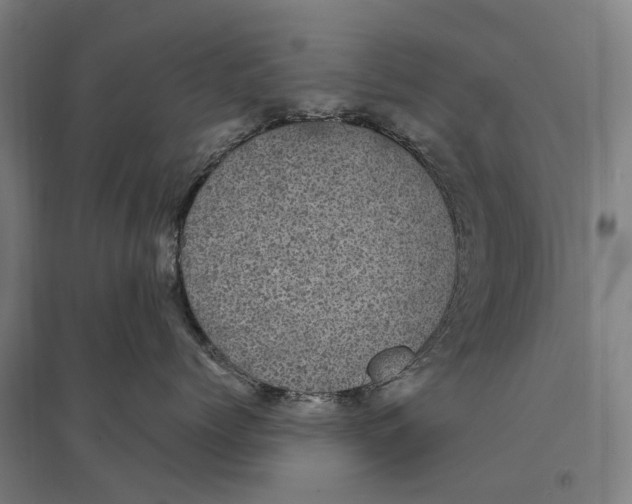 X0000095120768200712301800