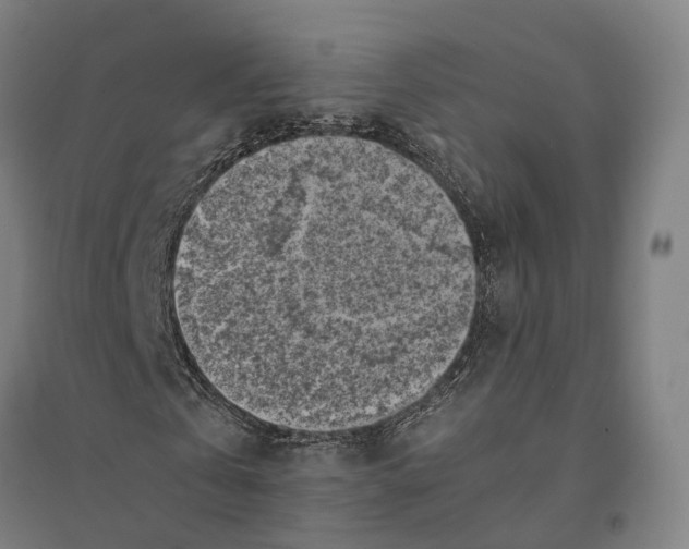 X0000095120769200712301759