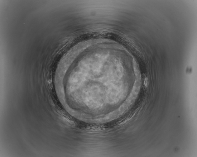 X0000095120771200712301759