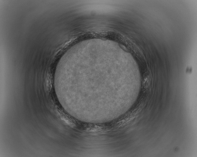 X0000095120772200712301759