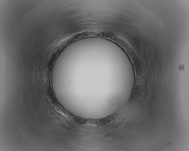 X0000095120773200712301759