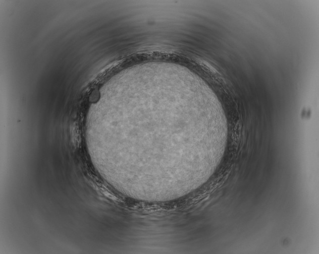 X0000095120774200712301759