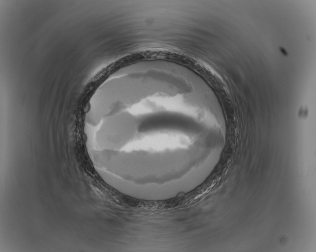 X0000095120775200712301759